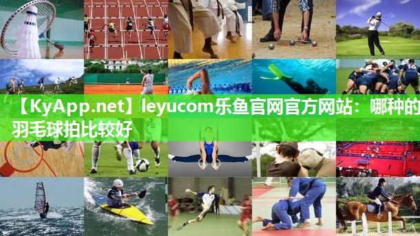 leyucom乐鱼官网官方网站：哪种的羽毛球拍比较好